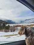 Holiday Inn ESTES PARK by IHG - Mountain View