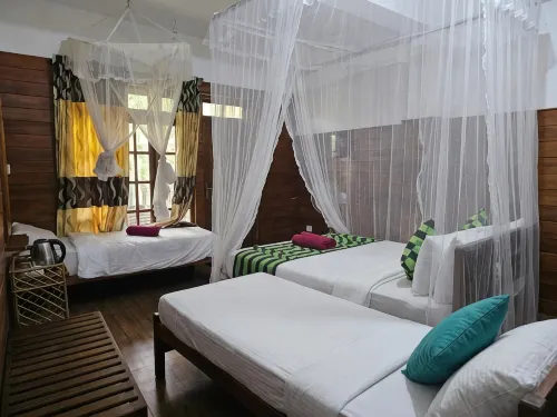 Mum Jungle Inn - 酒吧