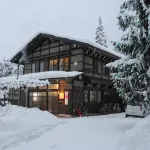Sakura Guest House - Hostels