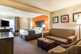 Comfort Inn Wings Stadium