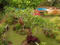 Hare Nua Hotel Boutique Hotels in Easter Island