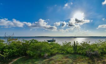 New Apartment Ocean View with Amazing Sunsets