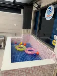Dolphin B&B