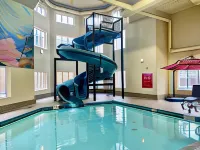 Super 8 by Wyndham Edmonton South Hotels near Edmonton Research Park