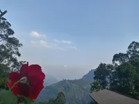 Apurvi Homestay - Mountain view