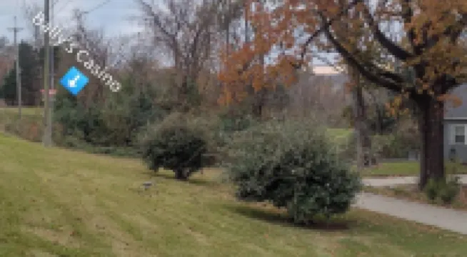 4-bedroom house in historic Vicksburg with AC, WiFi, Pet friendly.