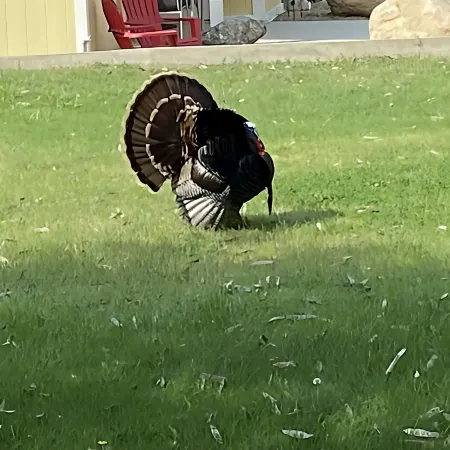 Newly remodeled Studio Cottage, perfect for two!