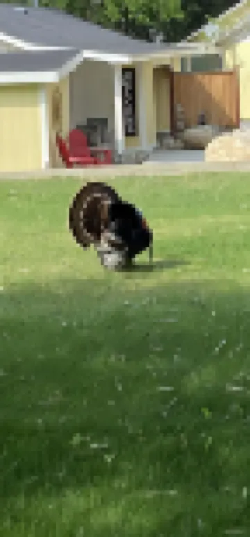 Newly remodeled Studio Cottage, perfect for two!