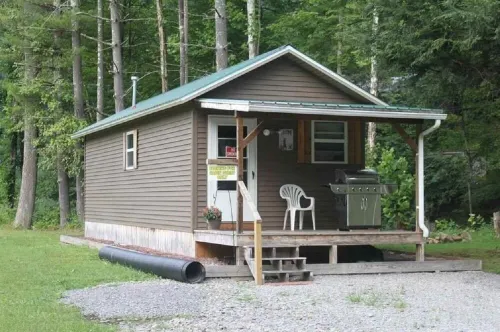 Pondside cabin next to a river with kitchen and bath. Kid/Pet Friendly. Roku TV