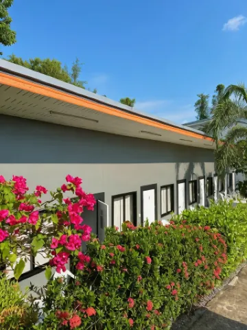 蘇梅島背包客酒店