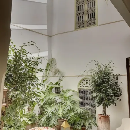 Riad Dar Chacha