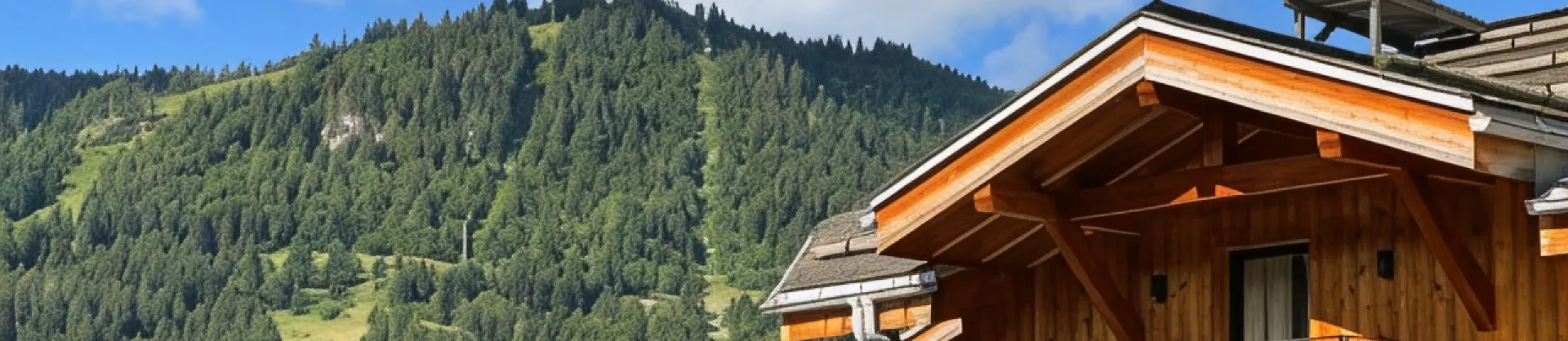 Ski Hotels