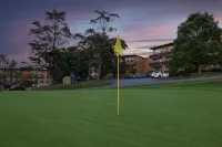 Chef's Kitchen and Cozy Fire Pit - Stunning Mountain Escape Hotels in Basye