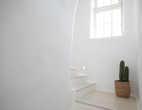 유포리아 다운타운