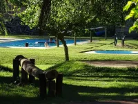 Hosteria Del Pescador - Pool