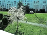 Ibis Genève Petit Lancy Отели в г. Ланси