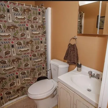 3 story cozy townhouse minutes from mount snow