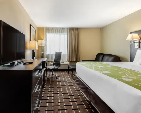 Econo Lodge Boaz Hotels in Marshall County