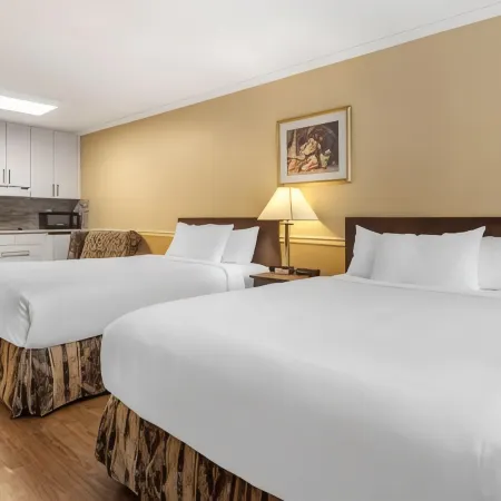 Econo Lodge Inn & Suites