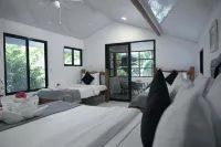 Jungles Edge Hotel, Jiu Jitsu, Muay Thai Retreat Center - Gym