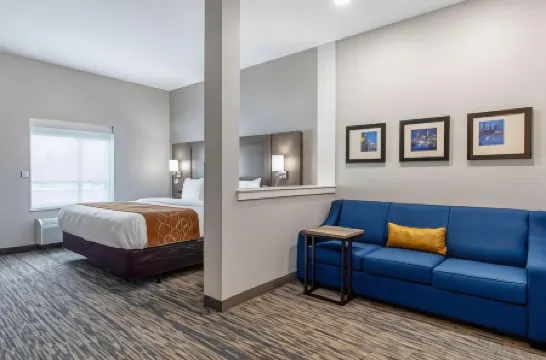 Comfort Suites Grove City - Columbus South Отели в г. Гров Сити