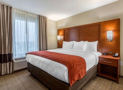 Comfort Suites Bowling Green Southeast