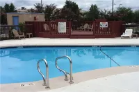 Baymont by Wyndham Greenville - Pool
