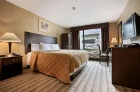 Days Inn by Wyndham Bronx Near Stadium Hotels in New York