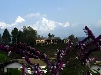 Ojaswi Resort