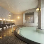 마운트 뷰 호텔 카미카와