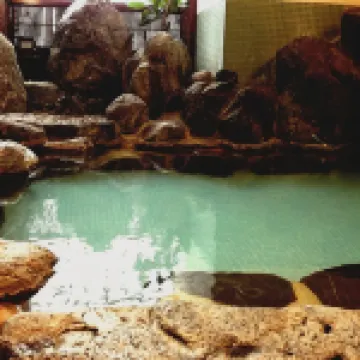 료칸 수이게츠 유가와라