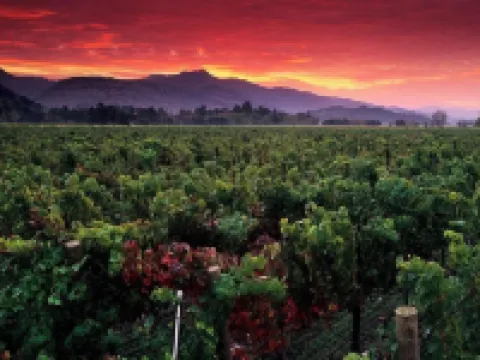 Sonoma Luxury, Enchanting Sonoma Home, Walkable to the Square, Sleeps 10 Hotels in Sonoma