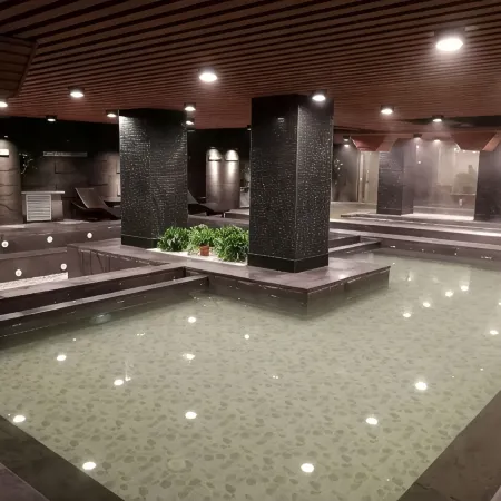 Sightseeing Hot Spring Hotel