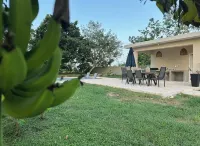 Beach House, Just Steps from Beach, Backyard Oasis w/Pool - Wifi