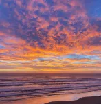 Sunny 1/1 BEACH FRONT Condo  overlooking the ocean! :) ,  Steps to the beach! - 부티크