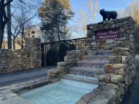 NEW Luxury Cabin in Green River Highlands 5 minutes to TIEC-Private/Gated