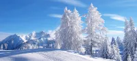 Wuchang Snow Valley mountain Courier station