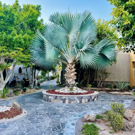 Beautiful 2 Bed, 2 Bath Casa Steps From The Beach & Pools In Loreto Bay
