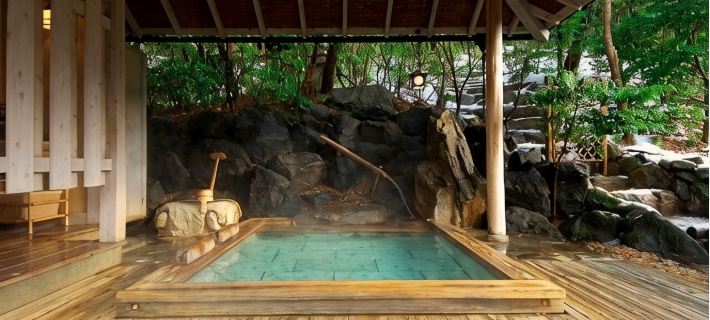 Musashino Bekkan Hakone Hotels in Ashigarashimo District