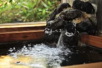Sawa Rouge - Hot Springs