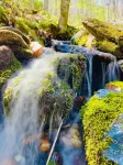 Zen Dome: Relax & Revive in the Beauty of Nature - Chalets