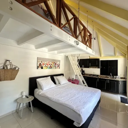 Yemaya Guesthouse Curaçao; fits up to 3guests - has an amazing Pool with Slide!