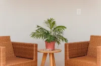 Casa Huayacan Entera de un Piso  SIN Escaleras  Terraza Patio Parking