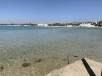 Belle Appartement vue mer