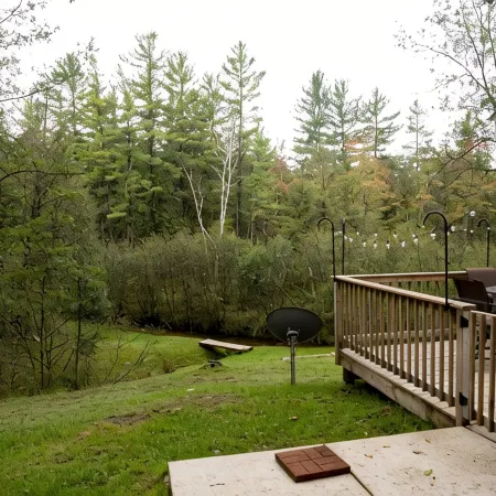 Quiet Cabin Setting on small river