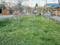 The Rustic Hideaway (Full Remodel) Hotels in Challis
