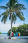 Whispering Palms Island Resort - Beach