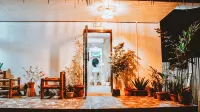 The Hangover Hostel