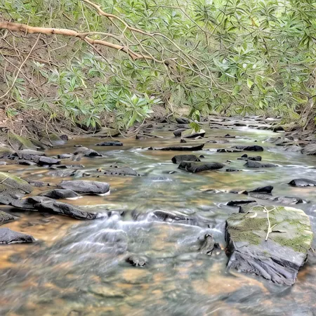 “Serenity Wow Cabin on the Creek Close to Town