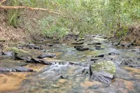 “Serenity Wow Cabin on the Creek Close to Town
